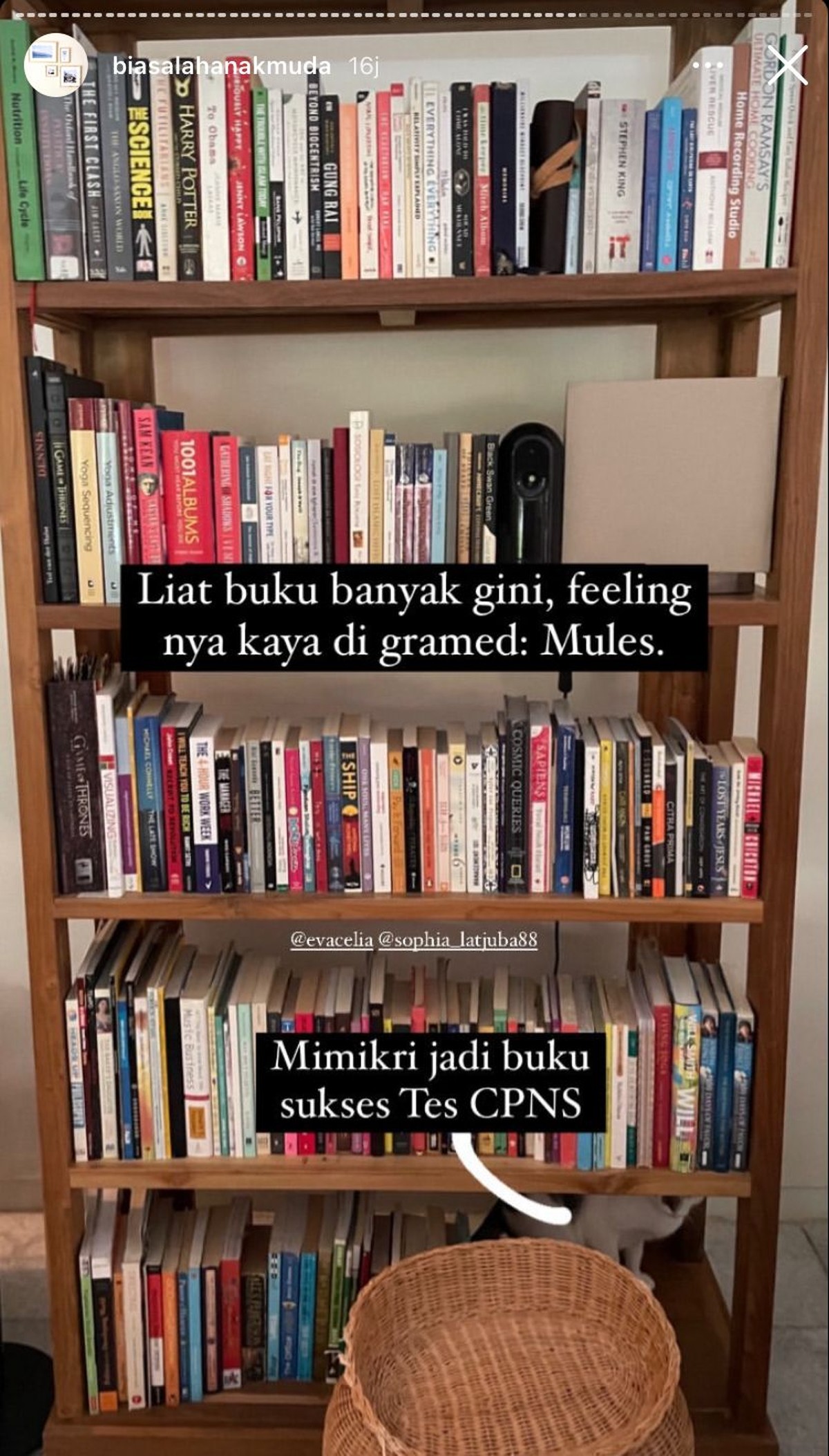 Rumah Sophia Latjuba