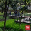 Proyek Mangkrak Jakarta Bakal Jadi Taman, Pramono Berkaca ke New York