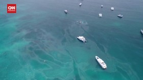 VIDEO: 2.000 Barel Minyak Cemari Pantai Santa Cruz Galapagos
