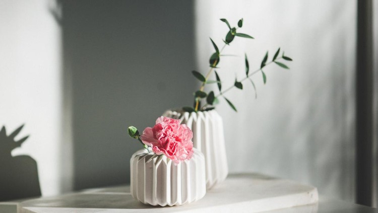 Carnation and eucalyptus leaves in beautiful vases