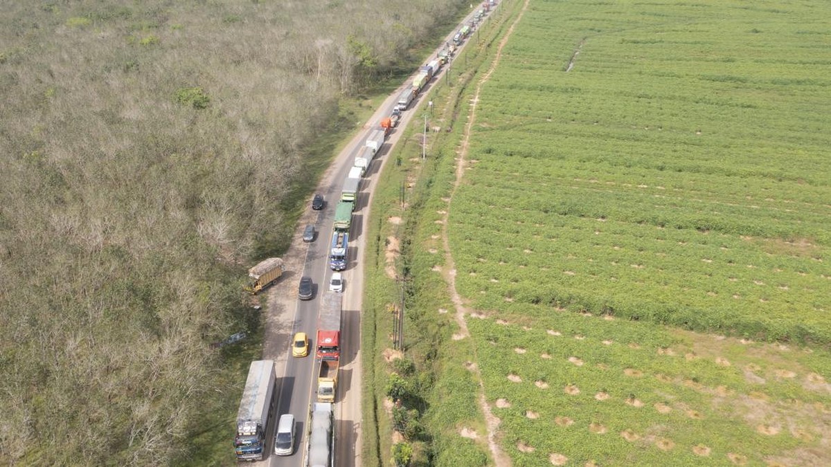 FOTO: Kemacetan Mengular di Jalan Lintas Timur Palembang-Jambi