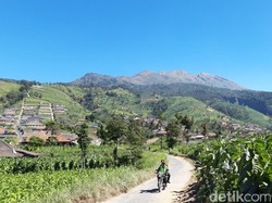 Pendakian Merbabu Tutup Sepekan Mulai 12 Februari, BTNGMb: Sukseskan Pemilu
