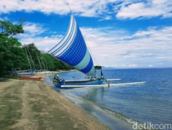 8 Wisata Situbondo, Baluran dan Pasir Putih Jadi Andalan