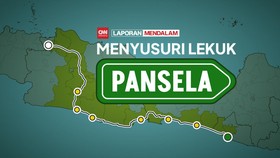 Menyusuri Lekuk Pansela