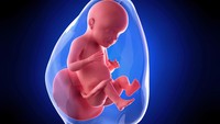 <p>Pada usia kehamilan 28 minggu, janin berada di posisi yang tepat mengarah ke jalur lahir. Janin sudah berlatih untuk mengedipkan mata. (Foto: Getty Images/iStockphoto/SciePro)</p>
