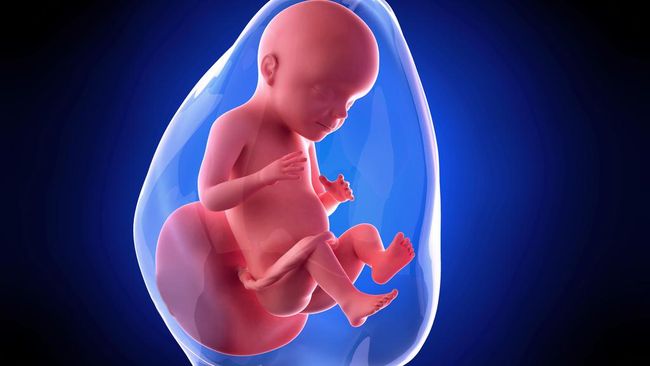 En Caul, Fenomena Langka Saat Bayi Lahir Masih Terbungkus Utuh Dalam Kantung Ketuban