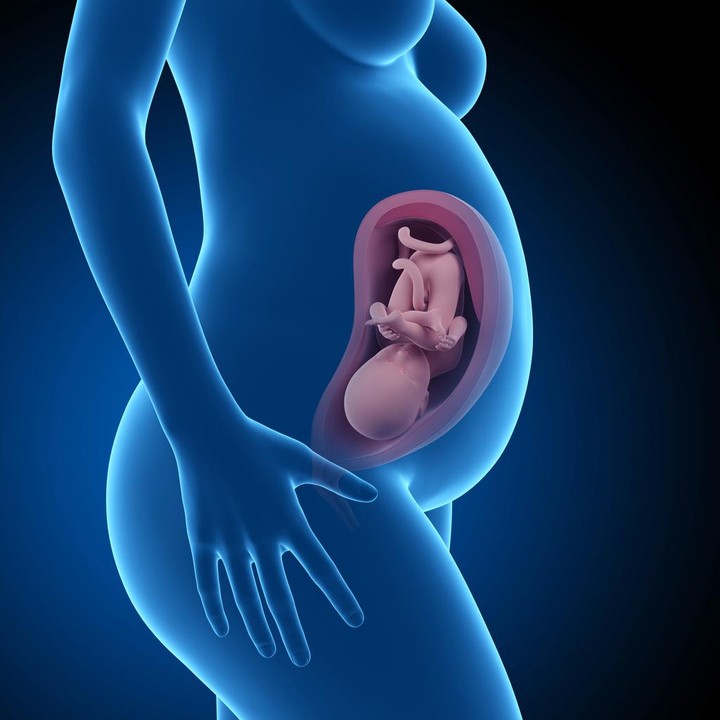 <p>Pada minggu ke-34, perkembangan janin sudah mendekati sempurna. Sebagaian besar organ utama seperti pencernaan, pernapasan, dan sistem saraf sudah bisa bekerja sendiri. Dalam minggu ini, posisi kepala bayi juga sudah turun ke bawah atau biasa disebut posisi head-down. (Foto: Getty Images/iStockphoto/SciePro)</p>
