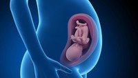 <p>Pada minggu ke-34, perkembangan janin sudah mendekati sempurna. Sebagaian besar organ utama seperti pencernaan, pernapasan, dan sistem saraf sudah bisa bekerja sendiri. Dalam minggu ini, posisi kepala bayi juga sudah turun ke bawah atau biasa disebut posisi head-down. (Foto: Getty Images/iStockphoto/SciePro)</p>