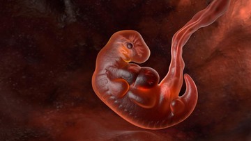 TINGKAT KEBERHASILAN INSEMINASI BUATAN DAN FAKTOR YANG MENYEBABKAN KEGAGALAN