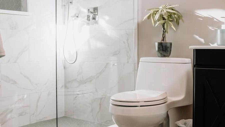 ilustrasi toilet