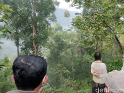 3 Fakta Mobil Pikap Nyemplung Jurang 100 Meter-Penumpang Selamat