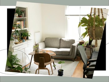 Plants To Liven Up Your Space