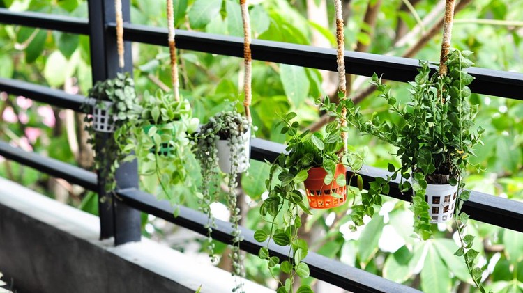 small plant decor