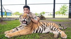 Disebut Penting oleh Alshad Ahmad, Ini 5 Dampak Seks Sebelum Nikah