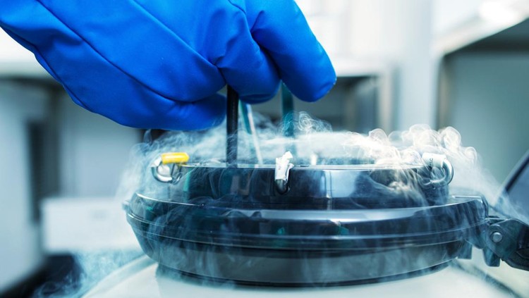 Sample Storage in test-tube laboratory