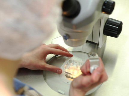 Singapura Akhirnya Izinkan Wanita Lakukan Egg Freezing, Begini Syaratnya