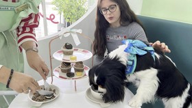FOTO: Puppacinos dan Pupcakes: Menu Istimewa Buat si Kesayangan