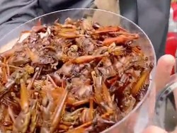 Viral Wisatawan Gunungkidul Kena Prank Beli Walang Goreng Toples Isi Kardus