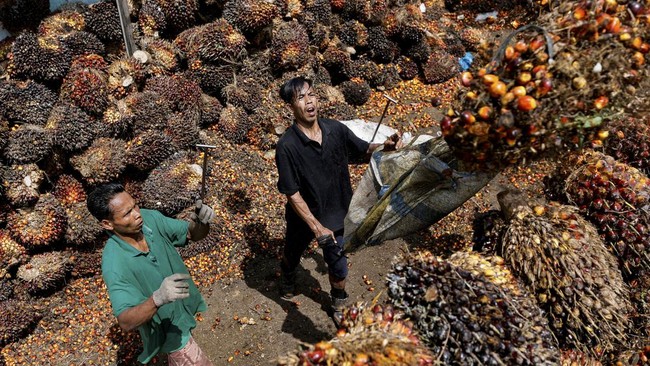Bappebti mengaku bernegosiasi dengan Menteri Pedagangan Zulkifli Hasan terkait waktu penetapan harga acuan crude palm oil (CPO).