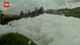 img-title VIDEO: Busa Beracun Beterbangan, Selimuti Sungai Kolombia