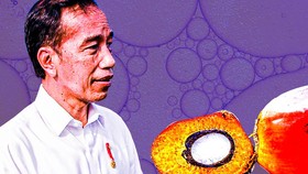 Arti Larangan Ekspor CPO dan Bahan Baku Minyak Goreng