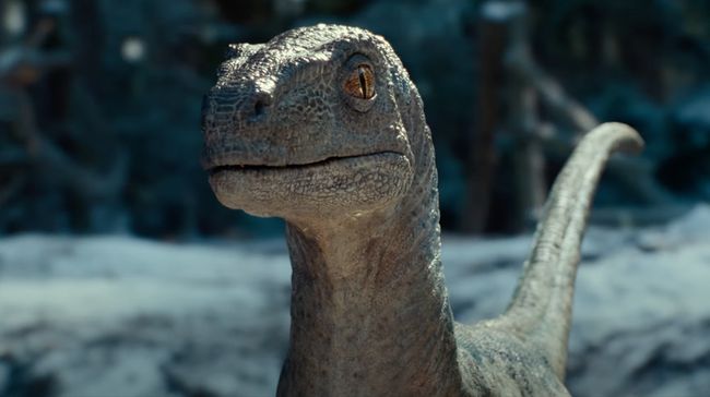 Banyak kritikus Hollywood menilai Jurassic World Dominion punya cerita yang buruk, bahkan kejar-kejaran dinosaurus pun tak membantu.