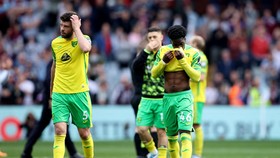 Norwich Jadi Tim Pertama yang Degradasi di Liga Inggris