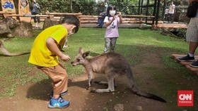 Lokasi, Fasilitas, dan Tiket Masuk Taman Safari Bogor 2024