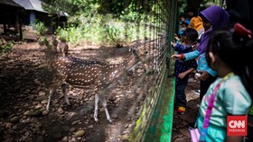 Cara Beli Tiket Online Ragunan dan Syarat Masuknya