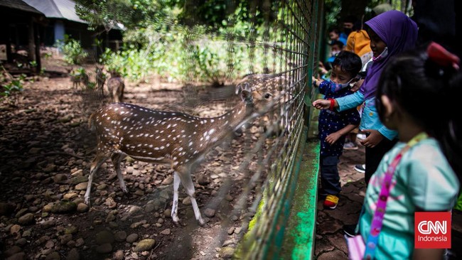 Pengelola Taman Margasatwa Ragunan (TMR) mengingatkan calon pengunjung melakukan pendaftaran secara online satu hari sebelum datang agar bisa masuk.