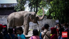 FOTO: Berlibur Lebaran di Ragunan