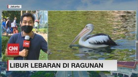 VIDEO: Berlibur Lebaran di Ragunan