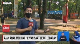 VIDEO: Ajak Anak Melhat Hewan Saat Libur Lebaran