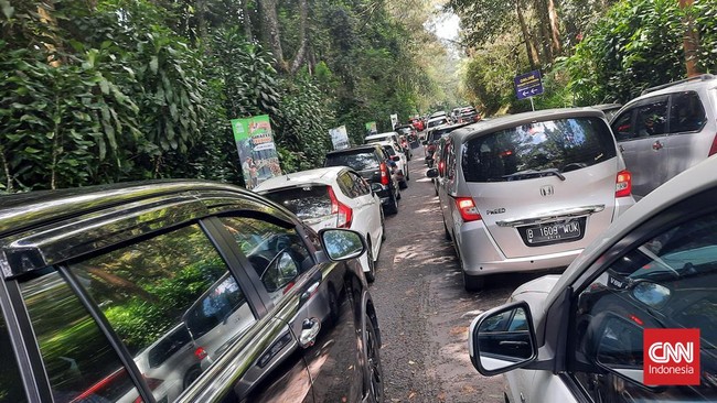 Sekitar 10 ribu orang mendatangi kawasan wisata Taman Safari di Bogor pada hari ini, Selasa (3/5), atau hari kedua Lebaran 2022.