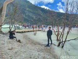 Kawah Putih Ciwidey: Lokasi, Harga Tiket, dan Daya Tariknya