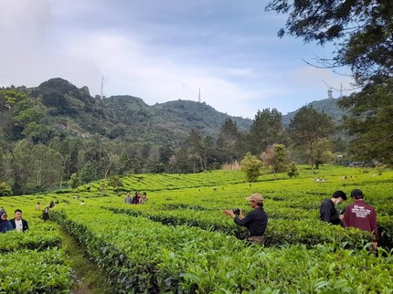 20 Tempat Wisata Puncak-Bogor 2023 dari yang Hits, Gratis hingga Terbaru