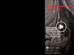 Viral! Bule Perempuan Bugil Berpose di Pohon Tua Kawasan Pura