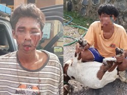 Dua Pencuri Kambing di Bima Babak Belur Dikeroyok Warga