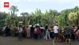 VIDEO: Taman Margasatwa Ragunan dan Ancol Dibanjiri Pengunjung
