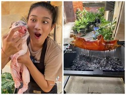 Masak Babi Guling Seharga HP Baru, TikToker Ini Bikin Geger Netizen