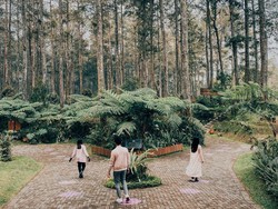 Melirik Orchid Forest Cikole, Tempat Wisata Sekaligus Venue Konser