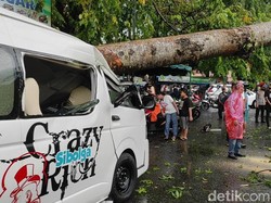 Mobil Crazy Rich Sibolga Tertimpa Pohon Tumbang di Medan