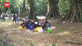 VIDEO: Libur Lebaran, Kebun Raya Bogor Dikunjungi 10-15 Ribu Orang