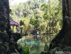 Mudik ke Blitar, Wisata Healingnya di Rambut Monte