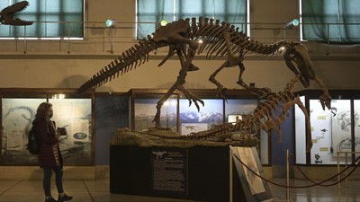 Ahli Temukan Dinosaurus Afrika Tertua di Zimbabwe