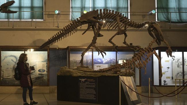 Dinosaurus yang memiliki bulu selamat dari kepunahan massal pada periode Triassic.