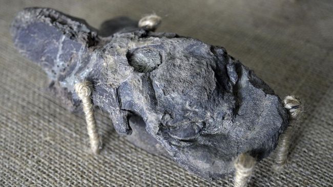 Peneliti disebut telah menemukan jejak fosil hantu di lautan. Penemuan itu menjadi catatan petunjuk sejarah kehidupan purba bertahan dari neraka di Bumi.