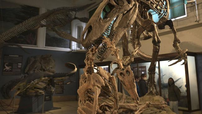 Ichthyosaurus merupakan predator puncak di lautan. Tak hanya itu, hewan yang punah 90 juta tahun lalu tersebut bisa jadi hewan terbesar di dunia.