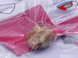 Begini Penampakan Batu yang Dilempar ke Bus Tewaskan Pemudik