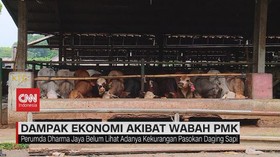 VIDEO: Dampak Ekonomi Akibat Wabah PMK